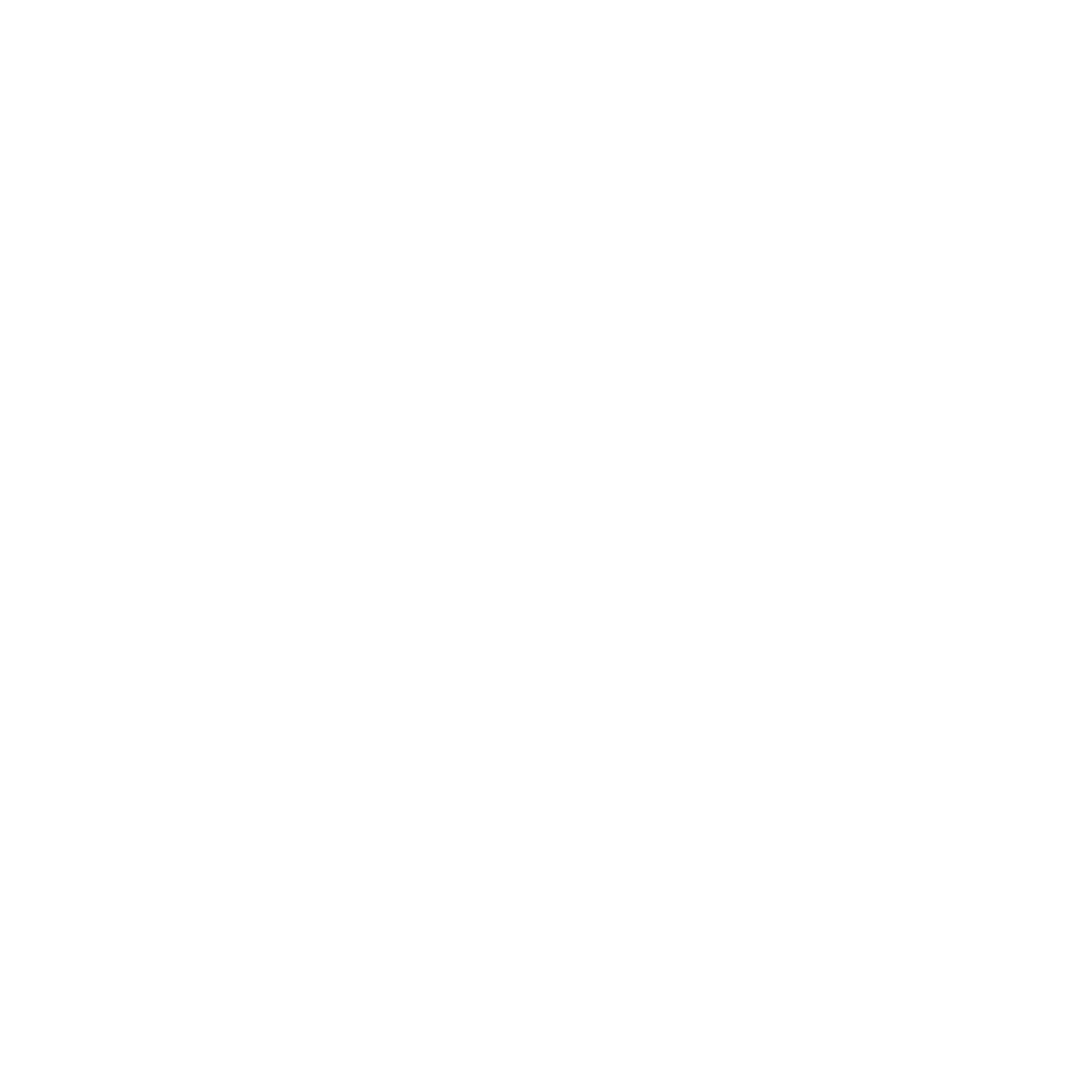 Rene's Garage Inc.